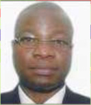 Mr. Akin Ogunbiyi (Member)
